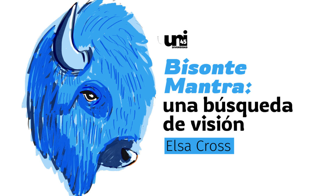“Bisonte mantra”: una búsqueda de visión